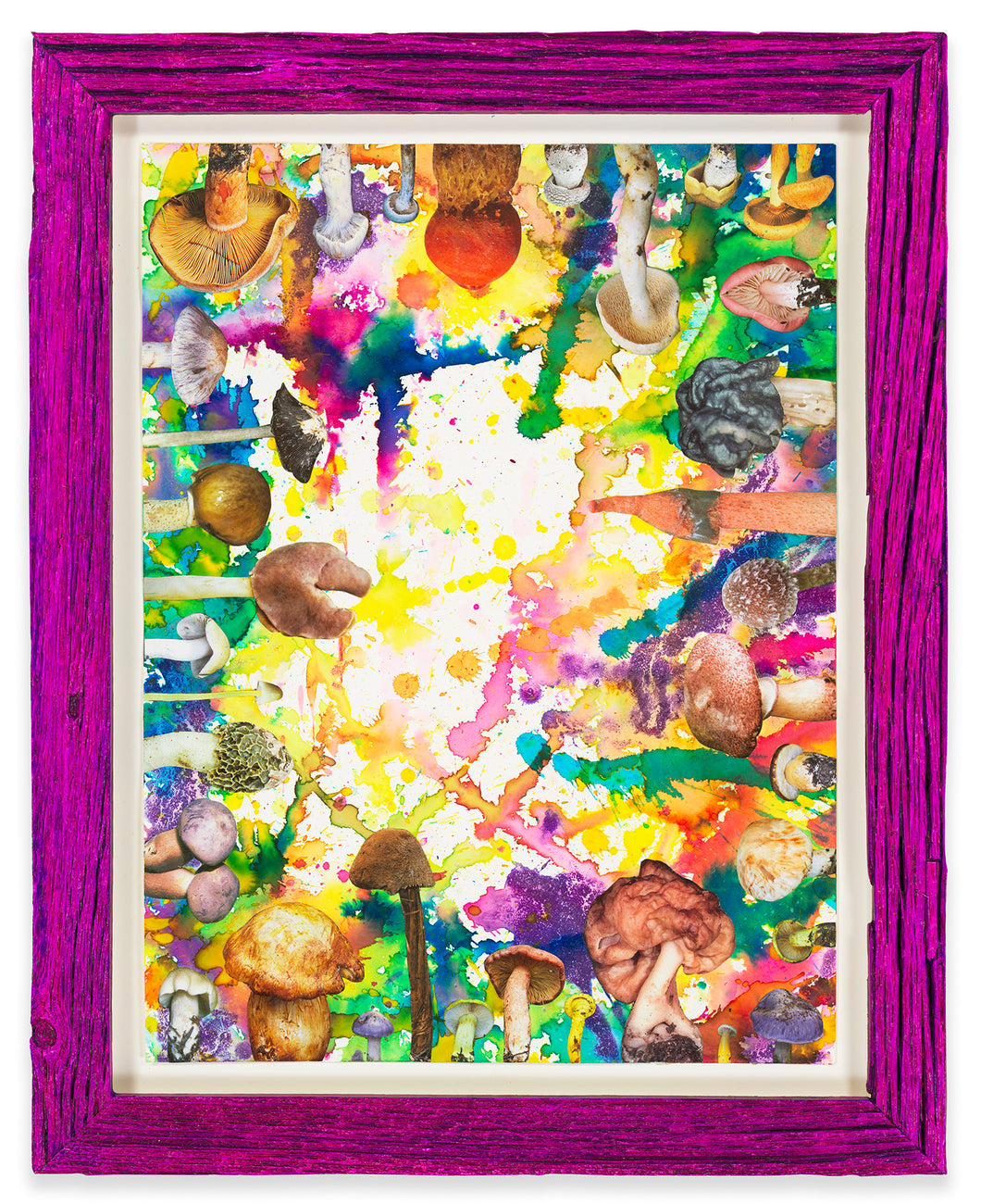 DOUGLAS MELINI, Untitled (SHRooMS), 2021