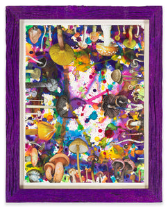 DOUGLAS MELINI, Untitled (SHRooMS), 2021