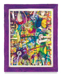 DOUGLAS MELINI, Untitled (SHRooMS), 2021