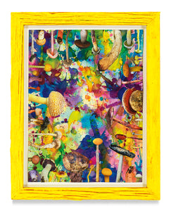 DOUGLAS MELINI, Untitled (SHRooMS), 2021