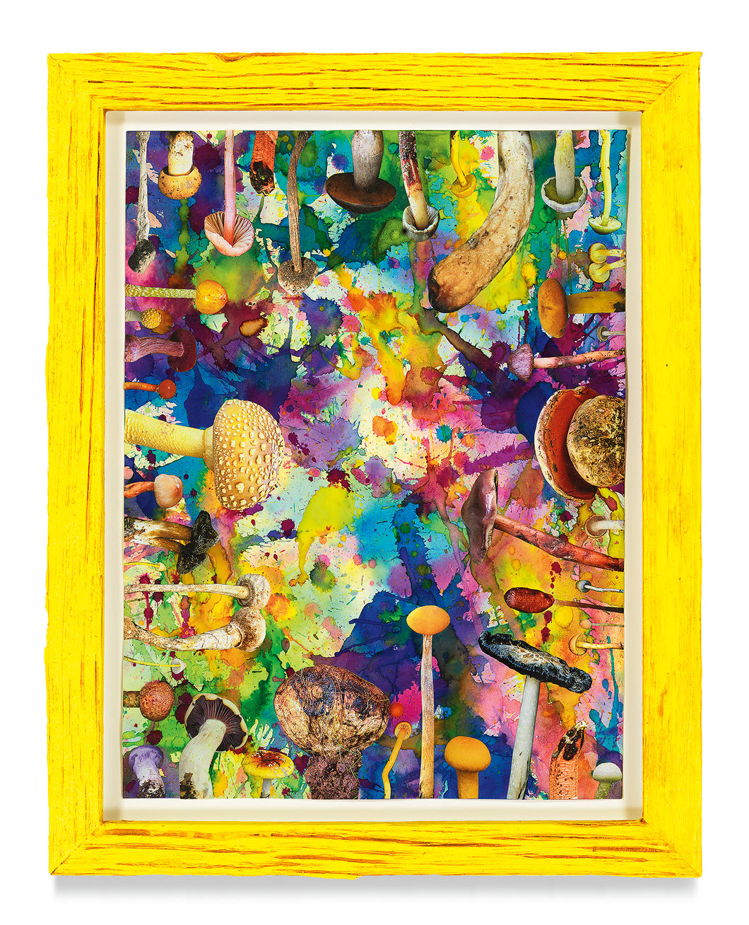 DOUGLAS MELINI, Untitled (SHRooMS), 2021