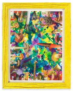 DOUGLAS MELINI, Untitled (SHRooMS), 2021