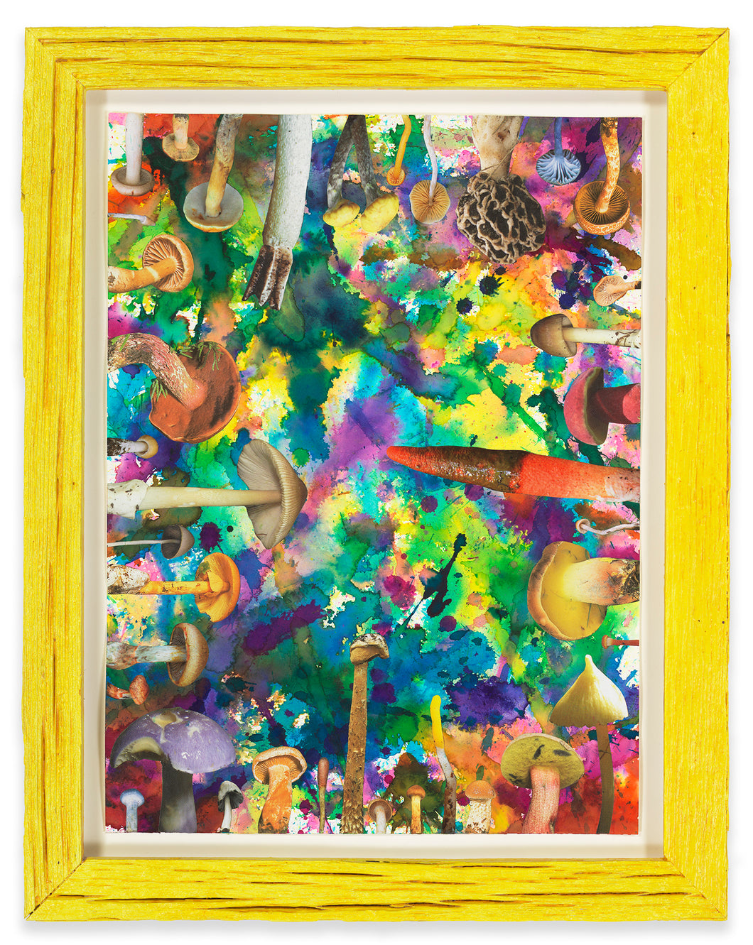 DOUGLAS MELINI, Untitled (SHRooMS), 2021