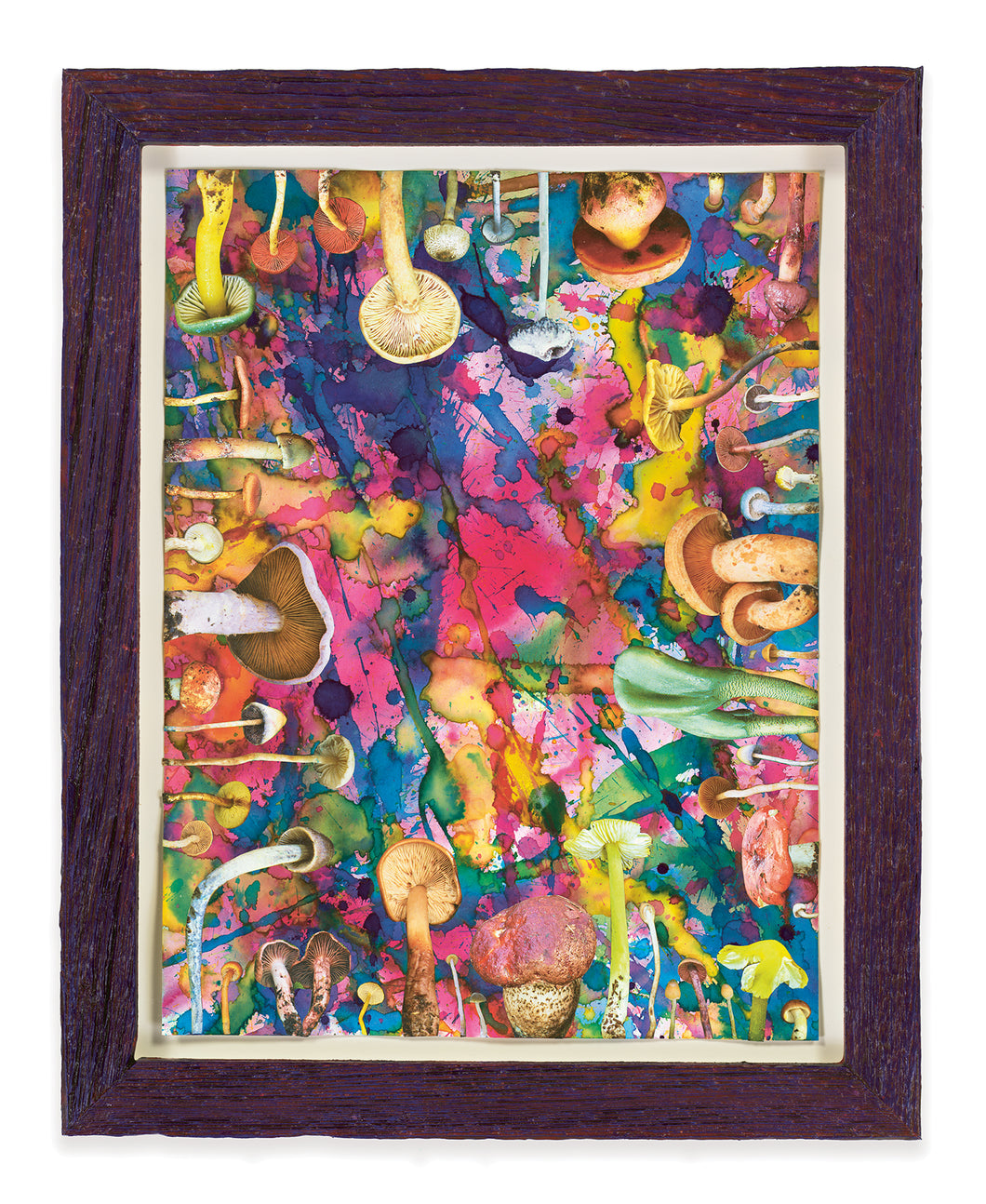 DOUGLAS MELINI, Untitled (SHRooMS), 2021